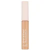 Fresh Face Perfecting Concealer