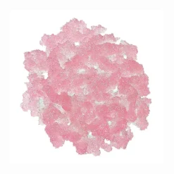 Lip Care Set - Pink Grapefruit